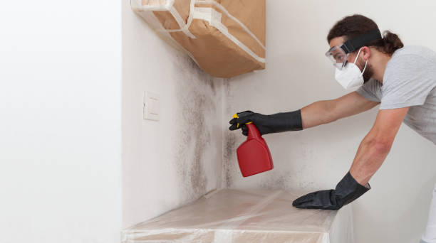 Professional Attic Mold Remediation technician working in Concord, MA