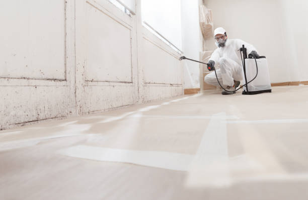 24/7 Emergency Attic Mold Remediation experts in Concord, MA